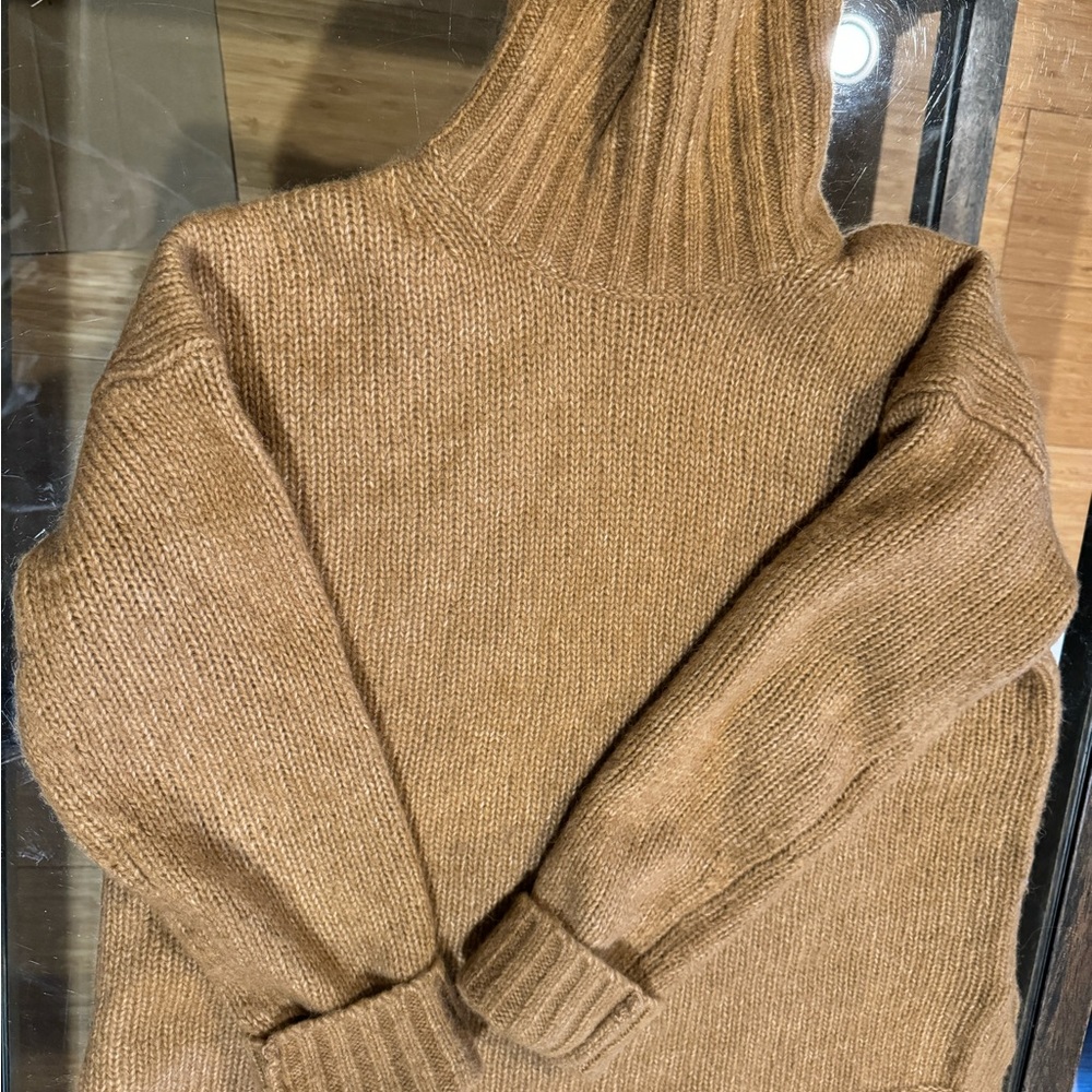 The Cloud Oversized Turtleneck Everlane S